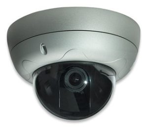Intellinet PRO SERIES NETWORK HIGH RES Dome